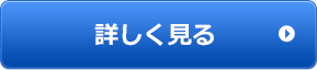 詳しく見る